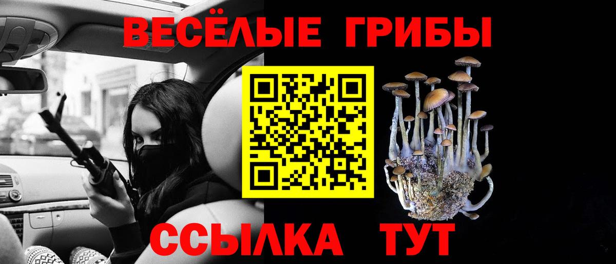 Междуреченск  Псилоцибиновые грибы Psilocybine cubensis  где можно купить наркотик  Вход с VPN 